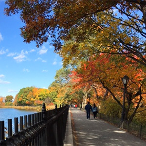Fall Colors in Central Park | Central Park Reservoir